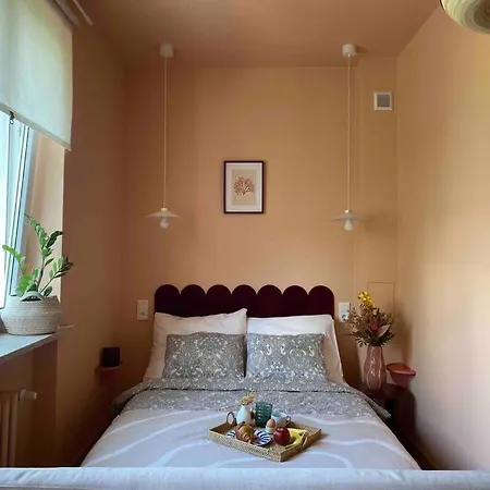 The Most Adorable Studio In *